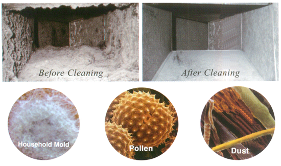 Carpet Cleaning Spokane® (Lund’sCarpet Cleaning) - Air Duct and Mold Cleaning